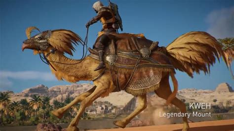 chocobo camel